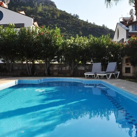 Olive C Villa Fethiye
